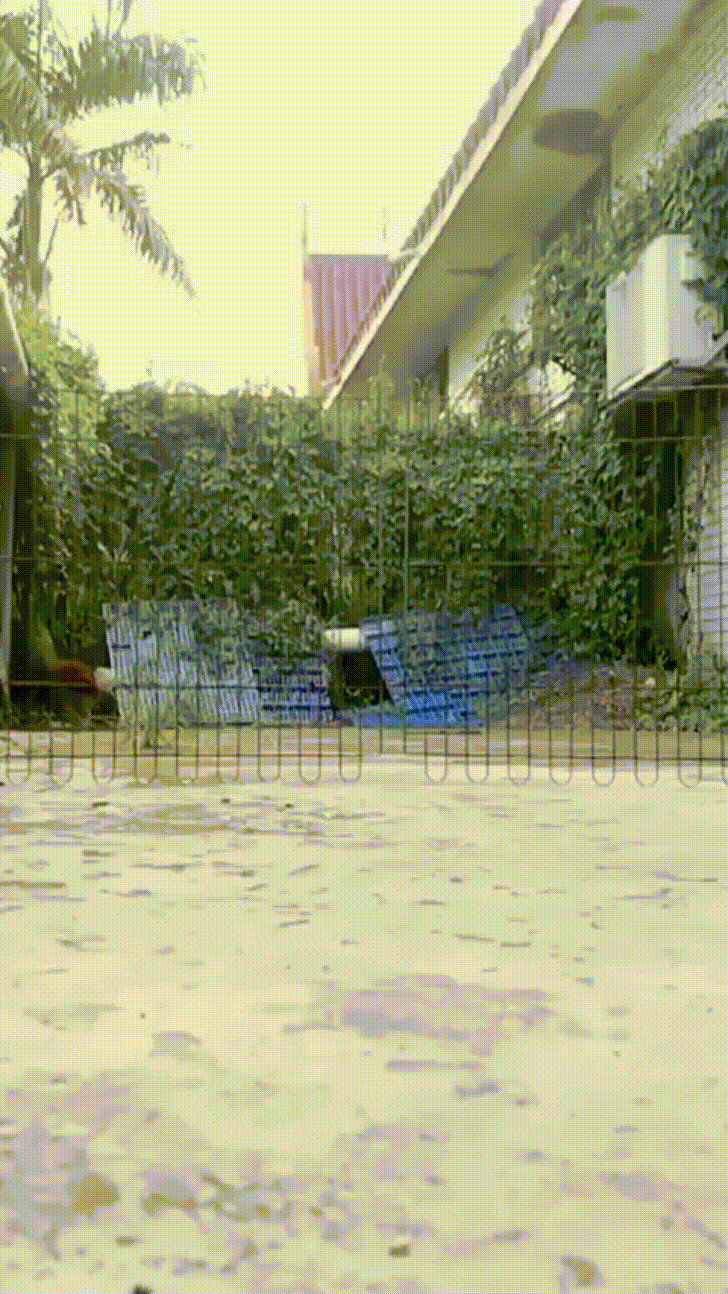 To jump over the gate