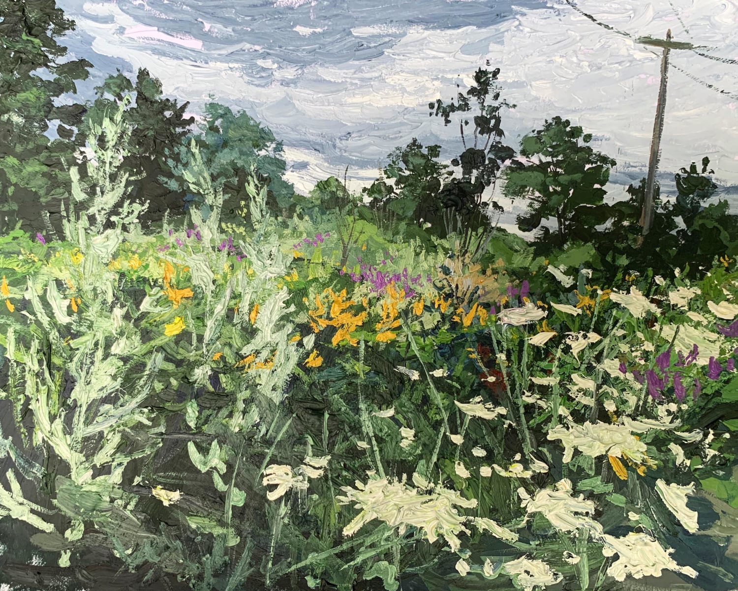 Did this one in about an hour and a half last night! Wildflowers at East Point, Biddefordoil on board
