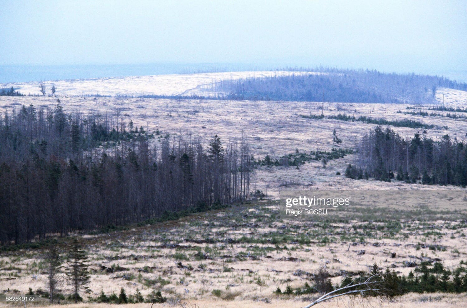 1983 Czechoslovakia: a patch of forest devastated by acid rain. Most of Soviet controlled Eastern Europe experienced profound ecological damage during their occupation due to a lack of environmental regulations and the belief that pollution was a “capitalist” problem. [2,,349]