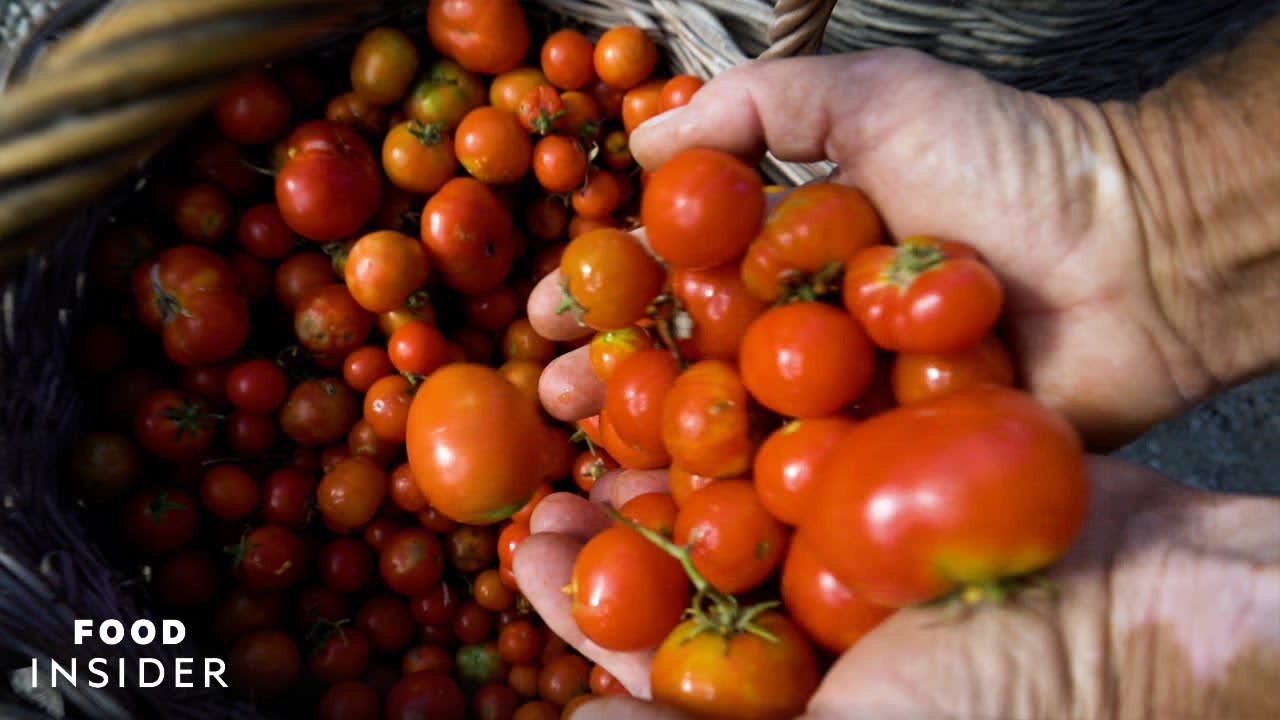 This Man Is Saving Santorini's Heritage Tomatoes