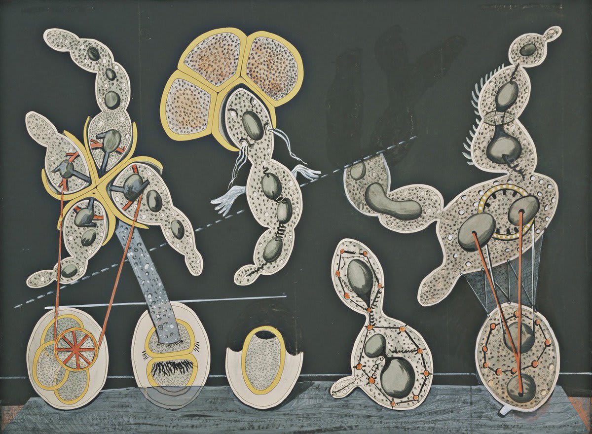 This large-scale overpainting by Max Ernst is based on an inverted, commercially available teaching chart depicting magnified views of brewer’s yeast cells.