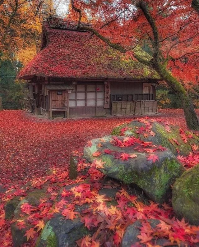 House In Japan