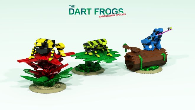 A beautiful tribute to the beautiful endangered dart frogs is today's staff pick!