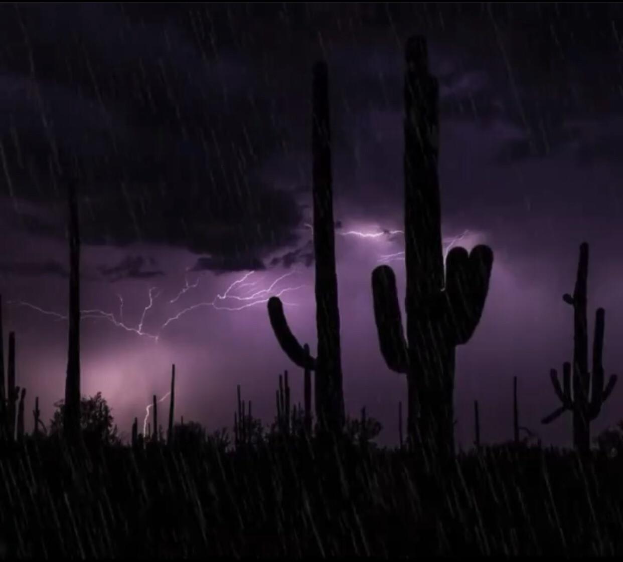 Rain in Tucson Arizona