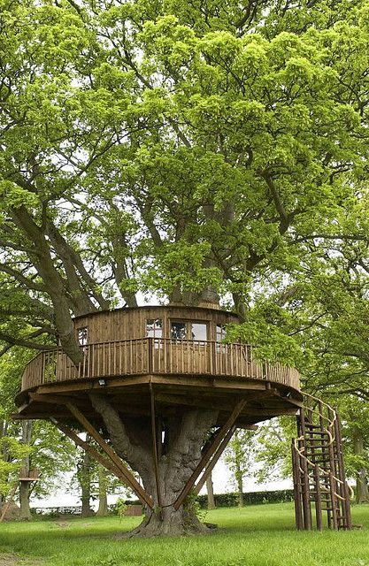 This website is currently unavailable. | Beautiful tree houses, Cool tree houses, Tree house