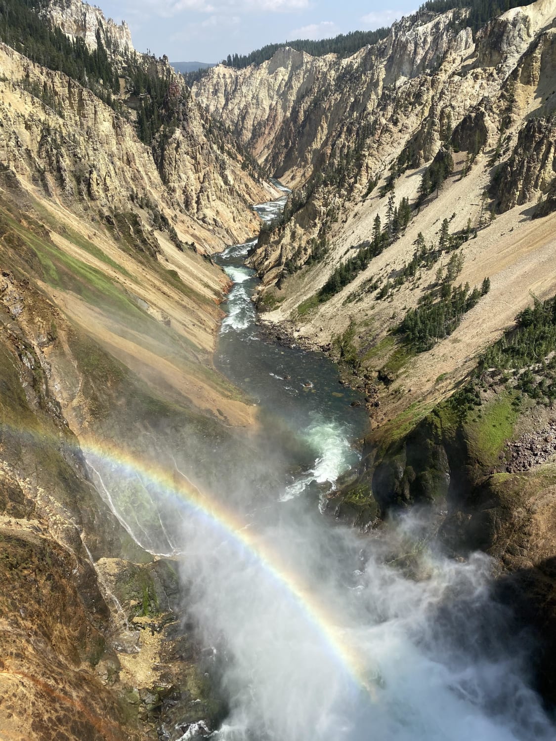 The Grand Canyon of the Yellowstone (view from the brink of the lower falls)