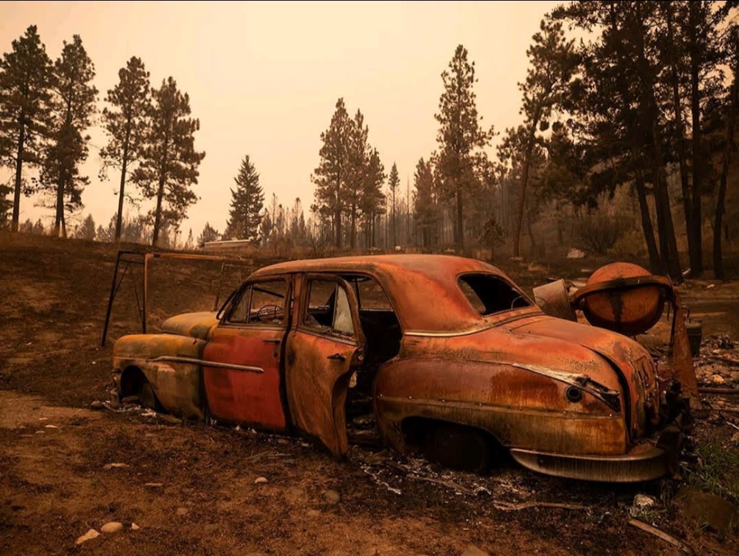 This picture from the recent forrest fires looks like a Fallout game.