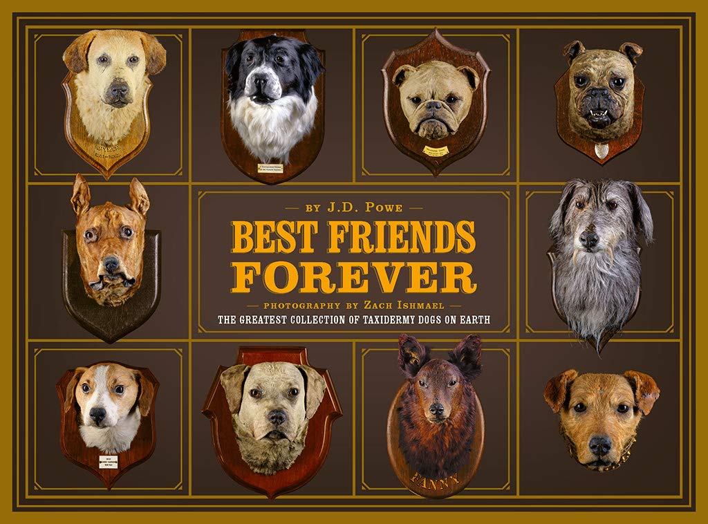 TONIGHT, explore the whimsical world of Victorian pet taxidermy through the eyes of collector J.D. Powe, who will discuss his recently published book, Best Friends Forever: The Greatest Collection of Taxidermy Dogs on Earth. Registration is free at: