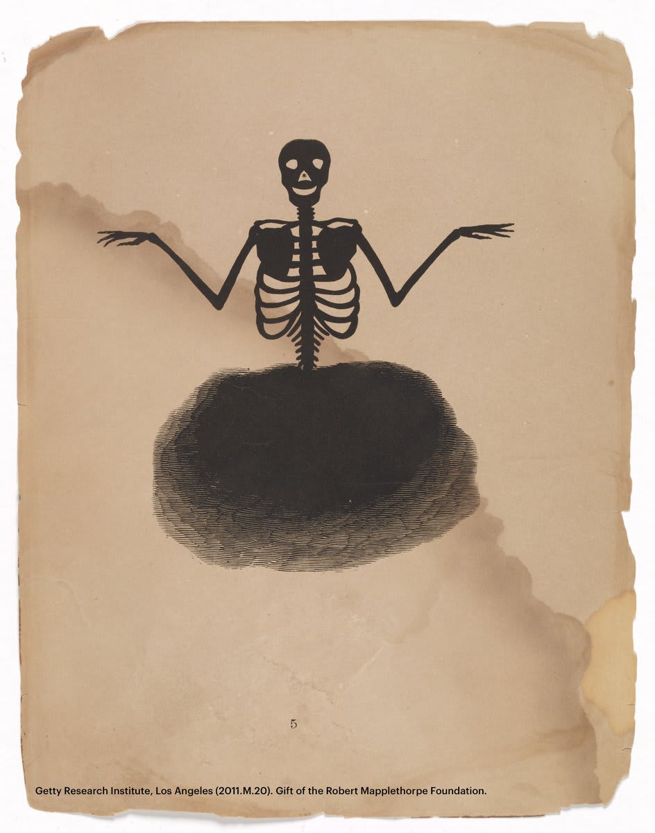 We popped into our archives and found this skeletal illustration. When referring to it, Robert Mapplethorpe once said, "This black skeleton will make a white spectre." Cool or creepy? Happy Halloween!