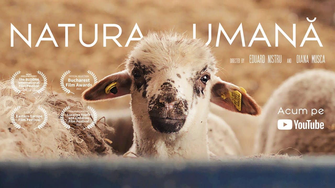 Natura Umană (2021) - Human Nature is a Romanian documentary about the relationship between animals, humans, nature and exploitation in Romania. [02:19:10]