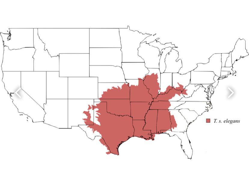 map of the us but it shows the range of which red ear slider turtles can be found (also the range of where im most wanted by the fbi)