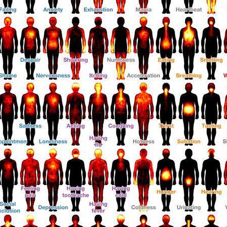 Mix · Scientists Have Mapped Where People Feel Emotions in Their Bodies