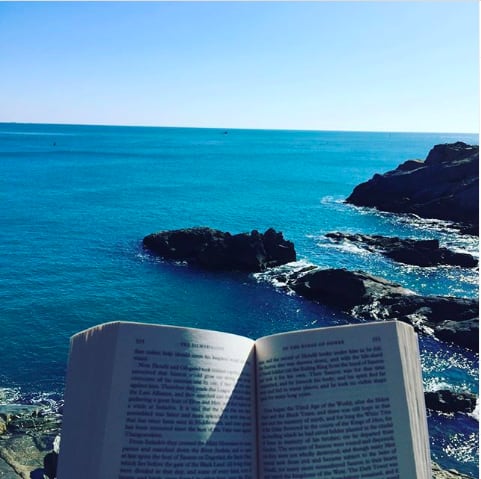 All the way from Busan, take a look at today's GoodreadsWithAView! : booksworthmytime on Instagram