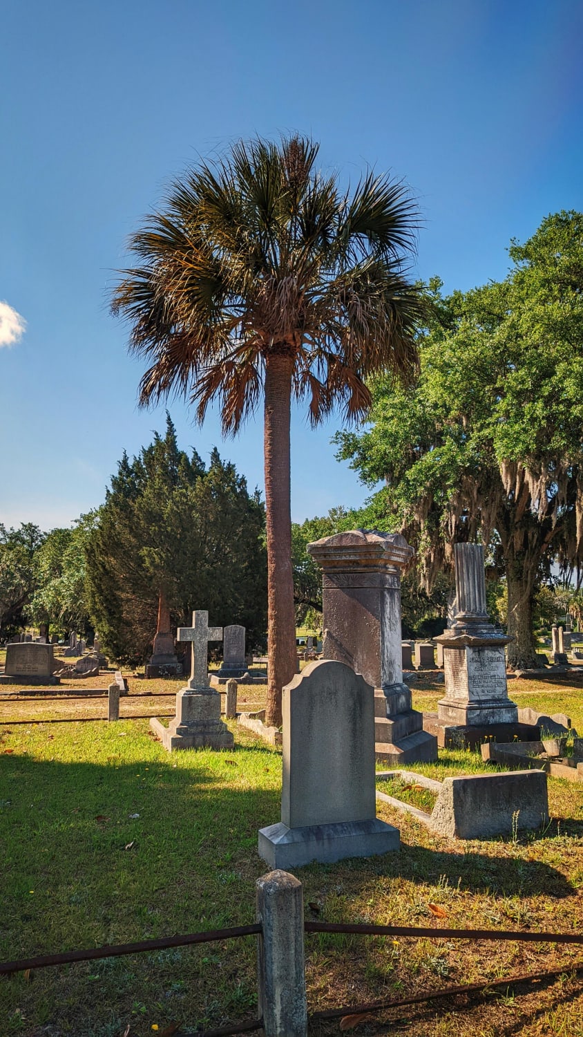 Magnolia Cemetery (Charleston, SC)