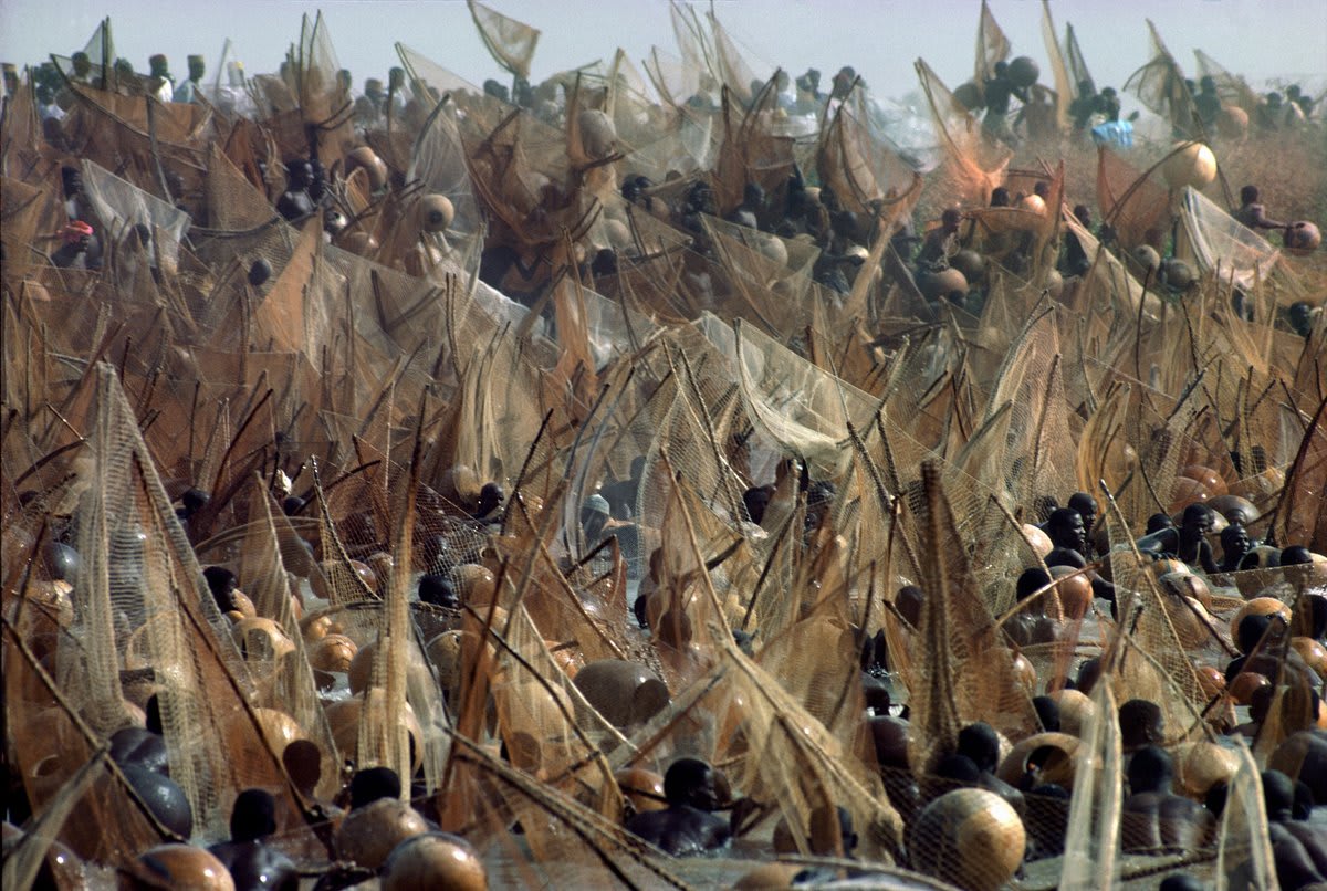 Thousands of fishermen participating in an annual fishing festival. Sokoto river. Nigeria. 1977. © Bruno Barbey/Magnum Photos