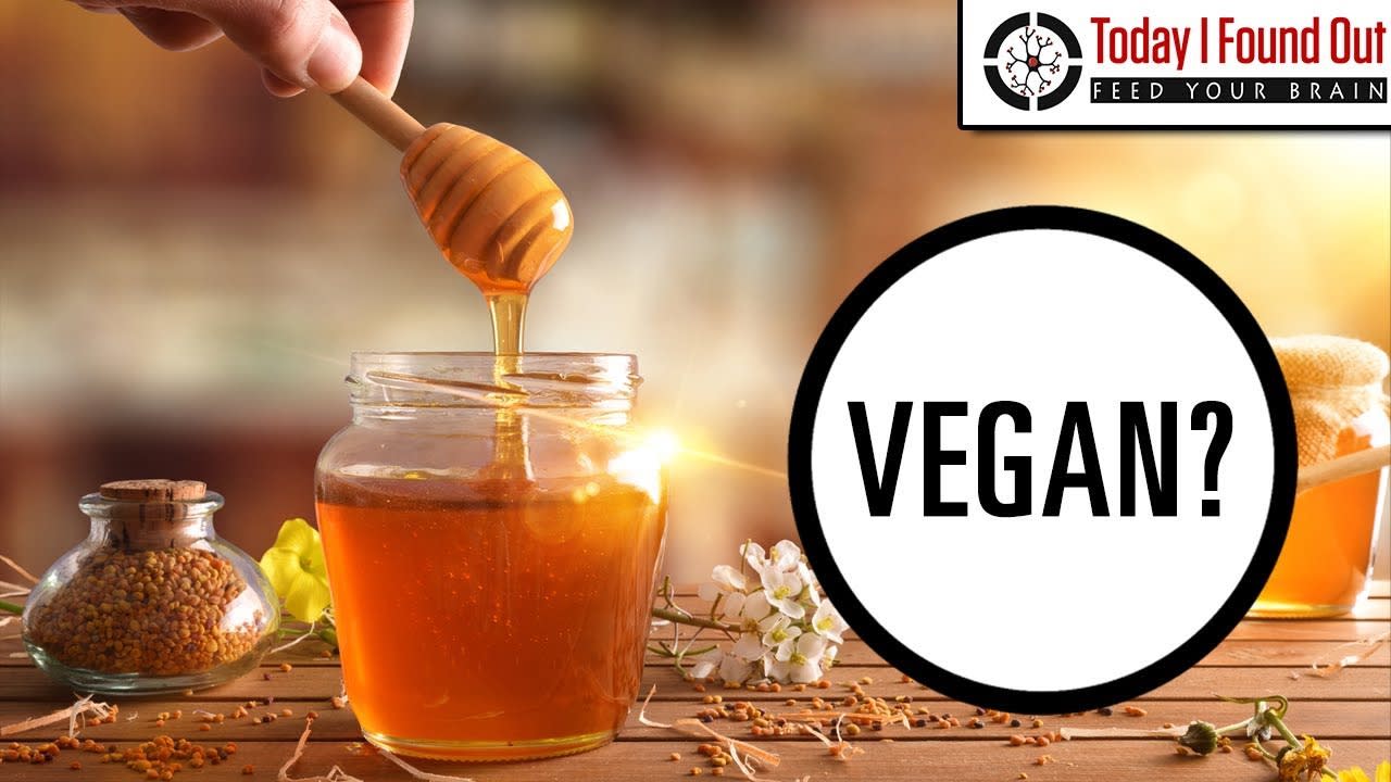 Is Honey Vegan?