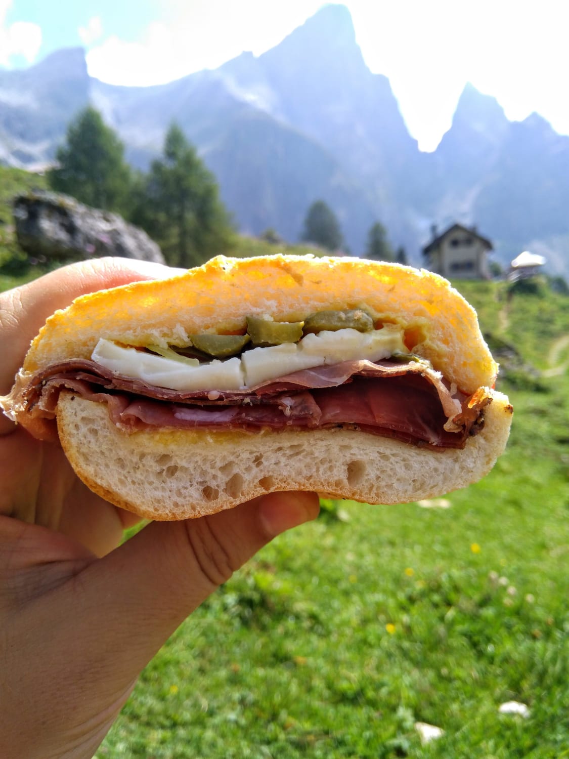 [I made] this sandwich: speck (smoked pork), Fior di Primiero cheese (brie-like), pickles, mayo and mustard blend. In background, the Dolomites of the Italian Alps.