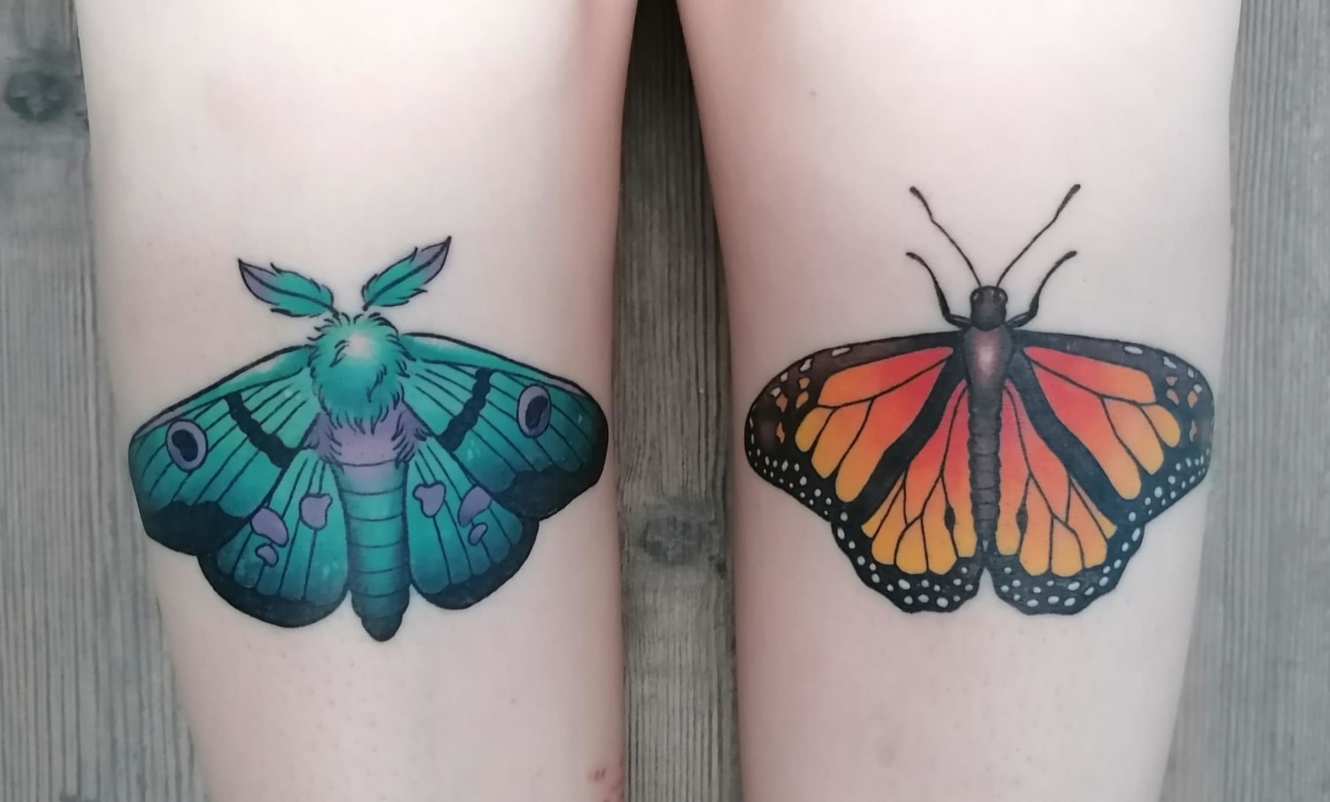 Moth and Butterfly (healed) done by Naja at Elektrotinte in Cologne, Germany