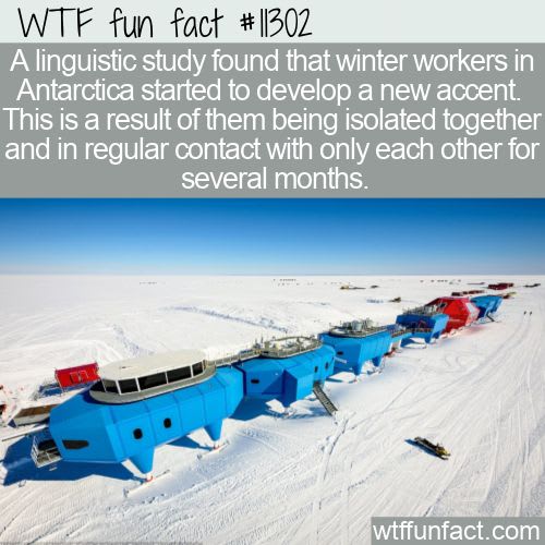WTF Fun Fact - Antarctic Accent