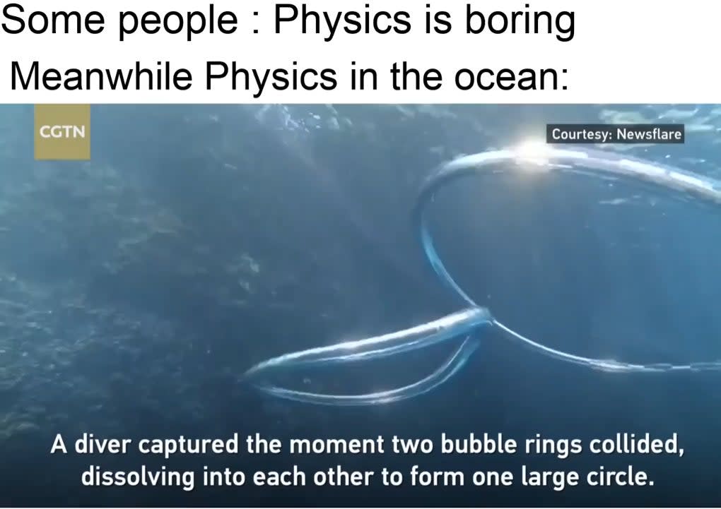 Physics is beautiful