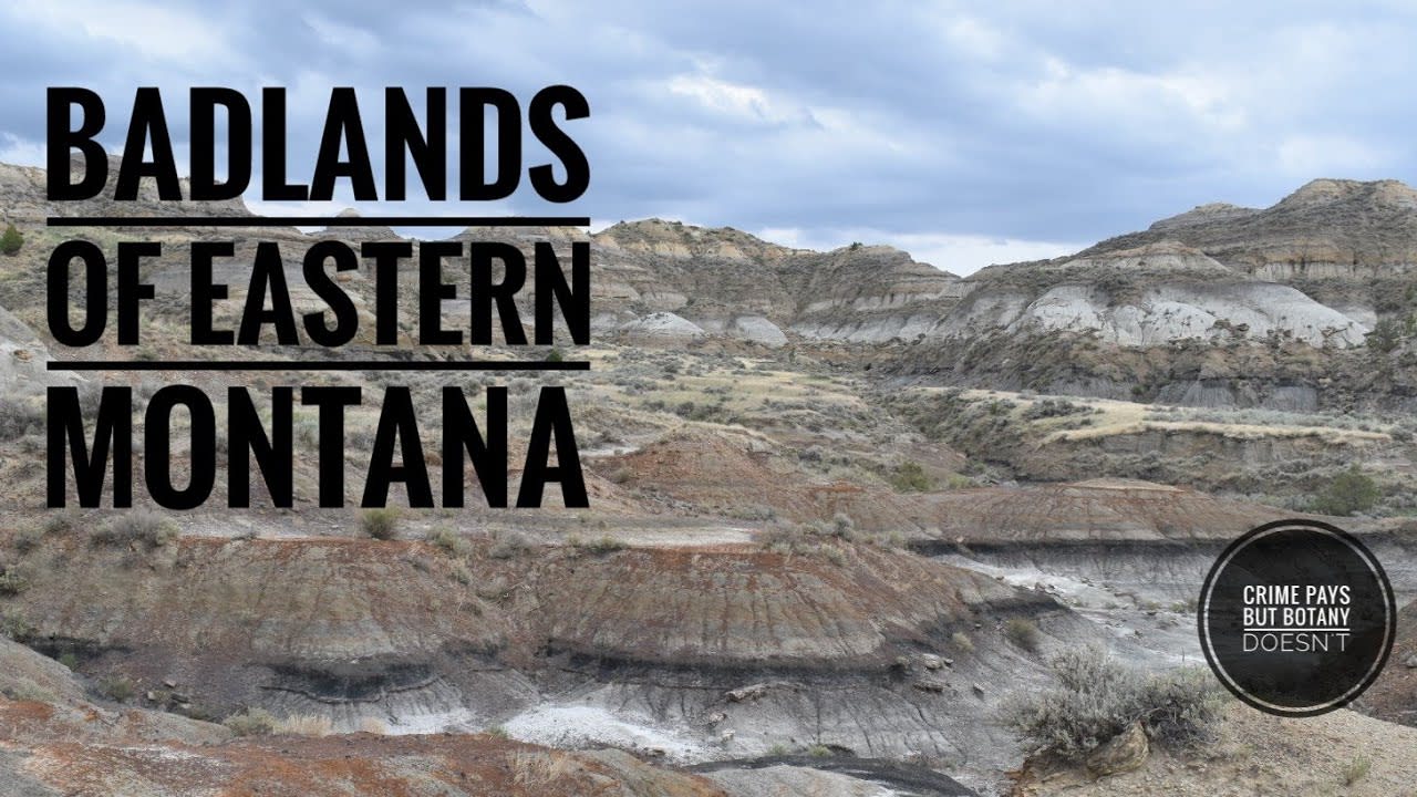 Fossils and Badlands of Eastern Montana