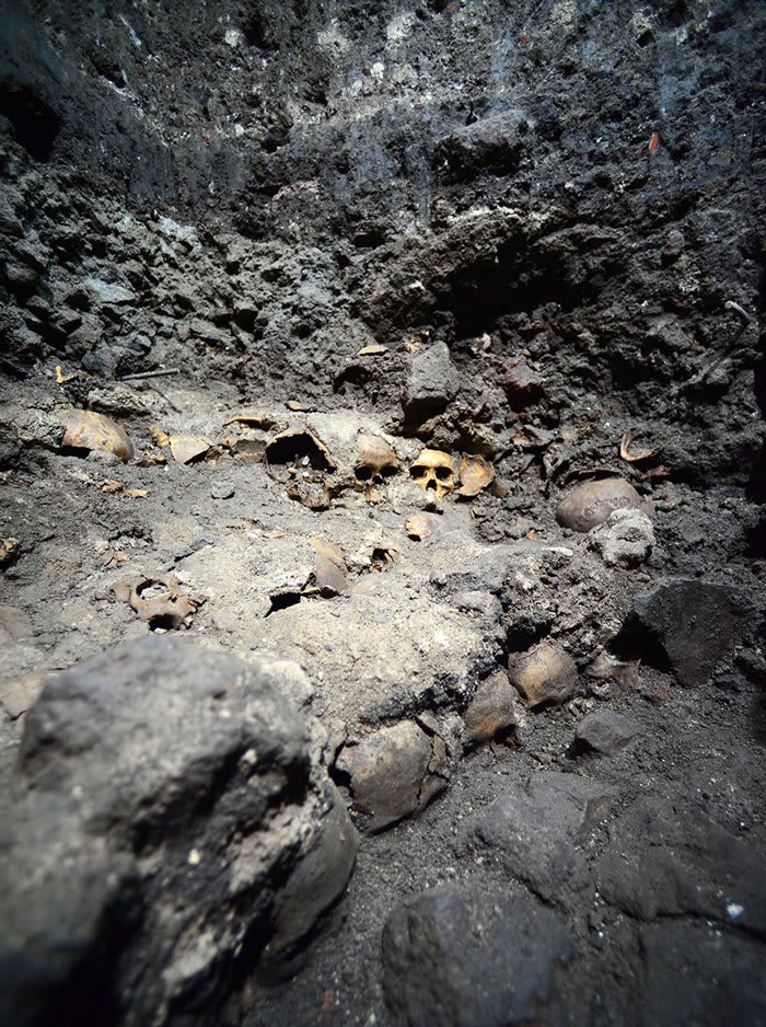 Archaeologists working at an Aztec temple complex in Mexico City discovered 35 human skulls dating to around A.D. 1500, which were mortared together with a mix of sand, limestone, and volcanic rock.