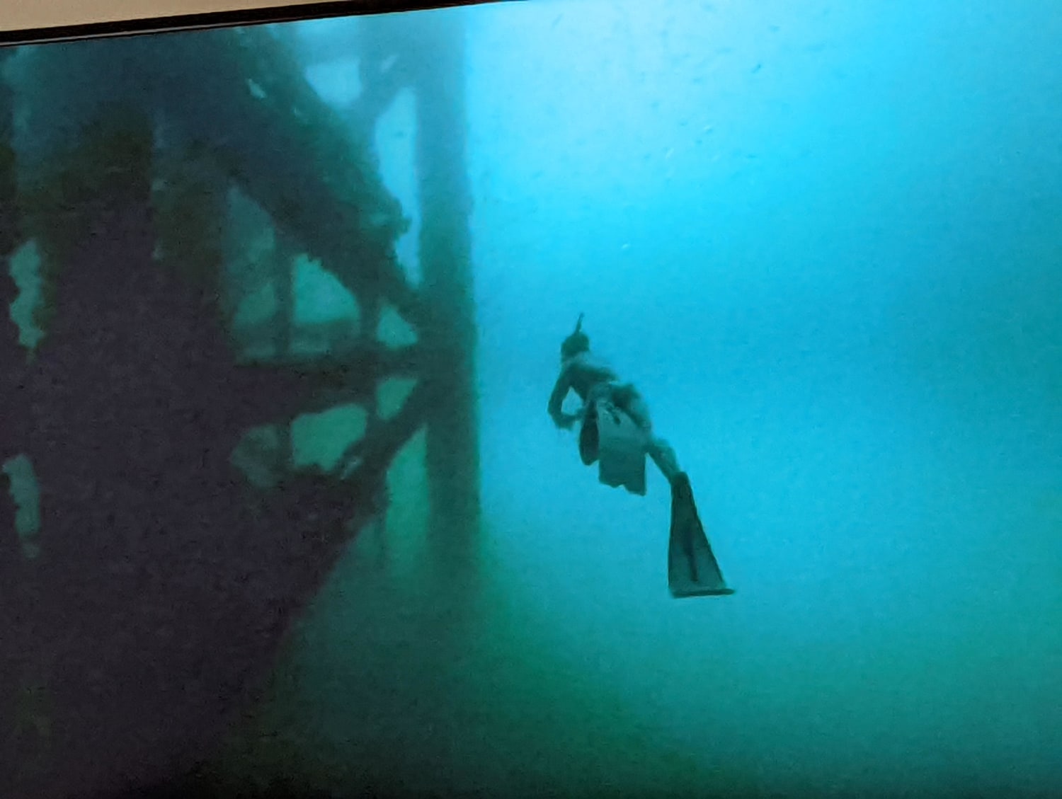 Spear fishing in the Gulf of Mexico around Oil rigs! Oh H**L NO!
