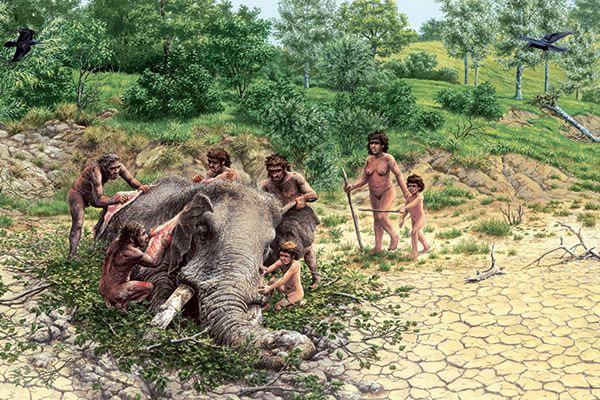 Homo heidelbergensis butchering an elephant 500,000 years ago.