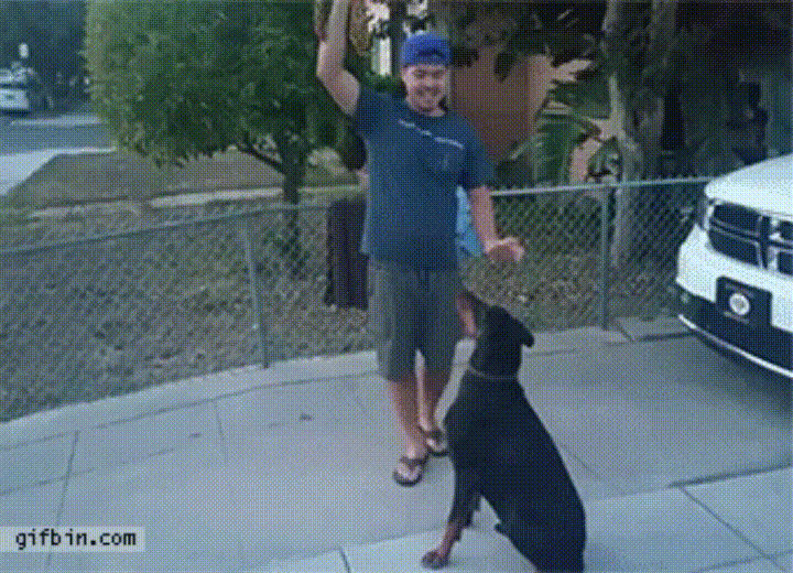 Guy tricks dog into jumping in his arms