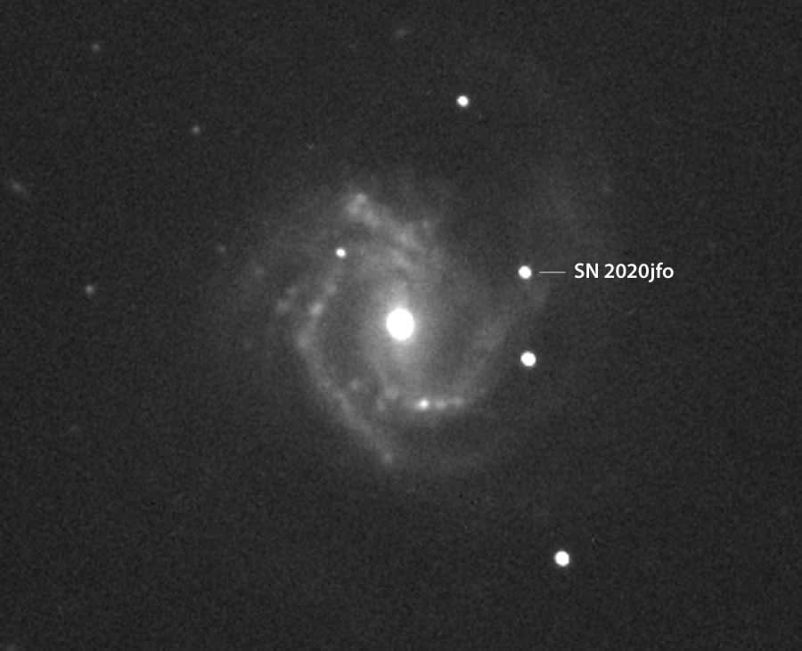 Supernovae Light Up in M61 and NGC 3643 - Two new supernovae for amateur telescopes are keeping things lively this month
