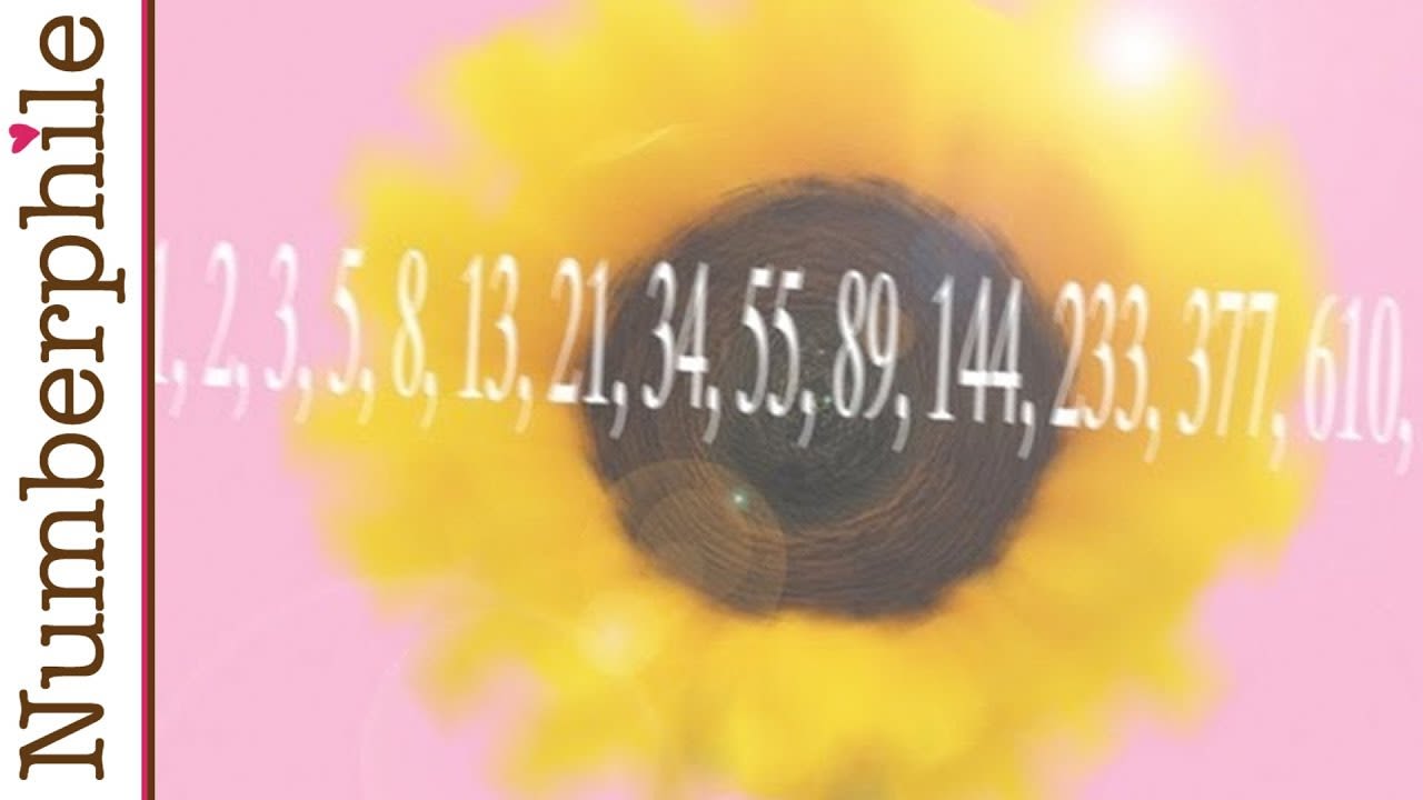 Sunflowers and Fibonacci - Numberphile