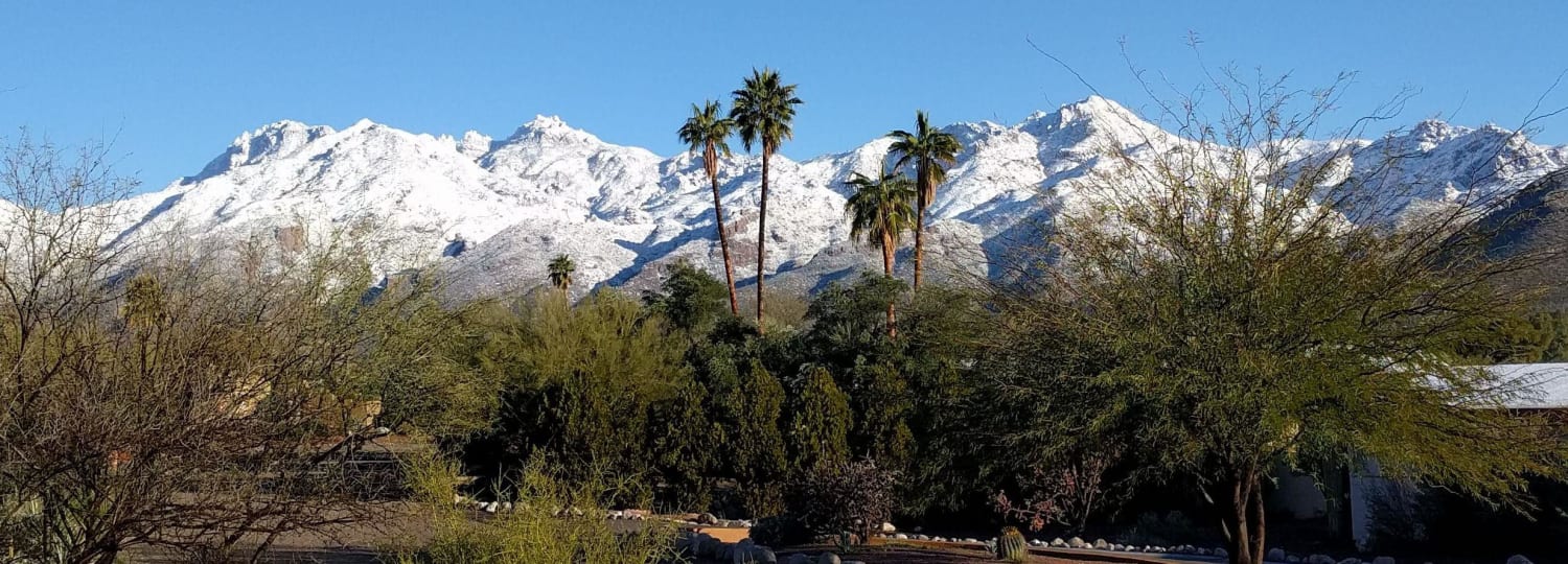 snow in the Tucson Catalinas