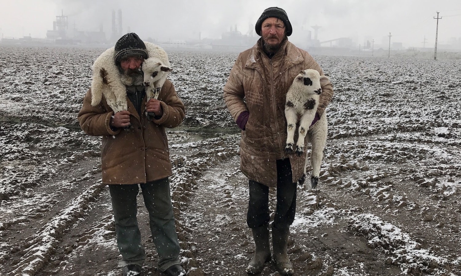 Transylvanian Shepherds, Târgu Mureș, Transylvania, Romania [OS] Photo by Istvan Kerekes