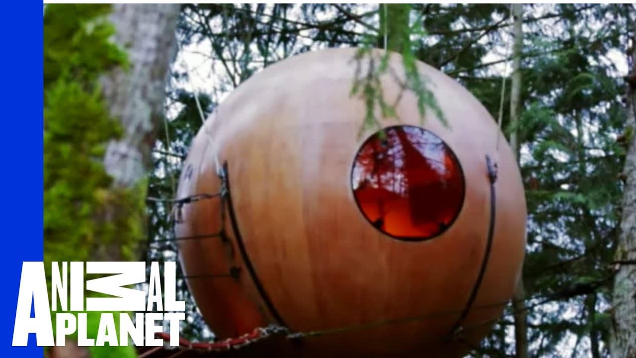 Free Spirit Spheres | Ultimate Treehouses