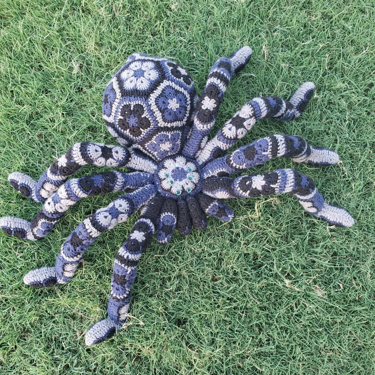 Giant African flower spider