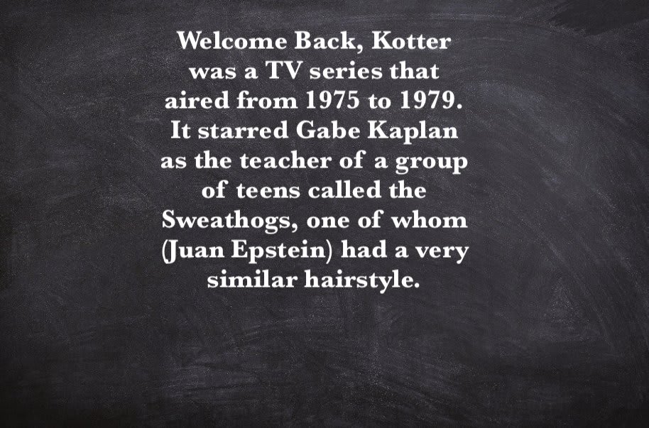 “When are you gonna let me take you dancing, Carrie?” Crow: When Welcome Back, Kotter is canceled. 📺 Welcome Back, Kotter was a TV series that aired from 1975 to 1979. It starred Gabe Kaplan as the teacher of a group called the Sweathogs... 🏫 MST3K #324 - Master Ninja II