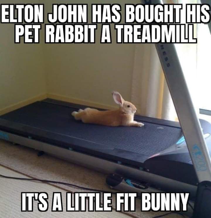 Elton John Has Bought His Pet Rabbit A Treadmill...
