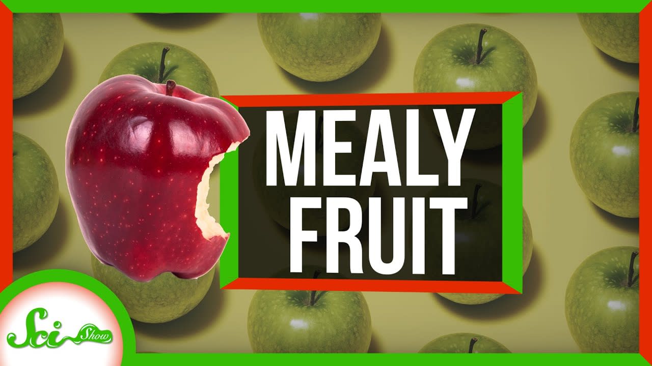 What Makes Fruit Mealy?