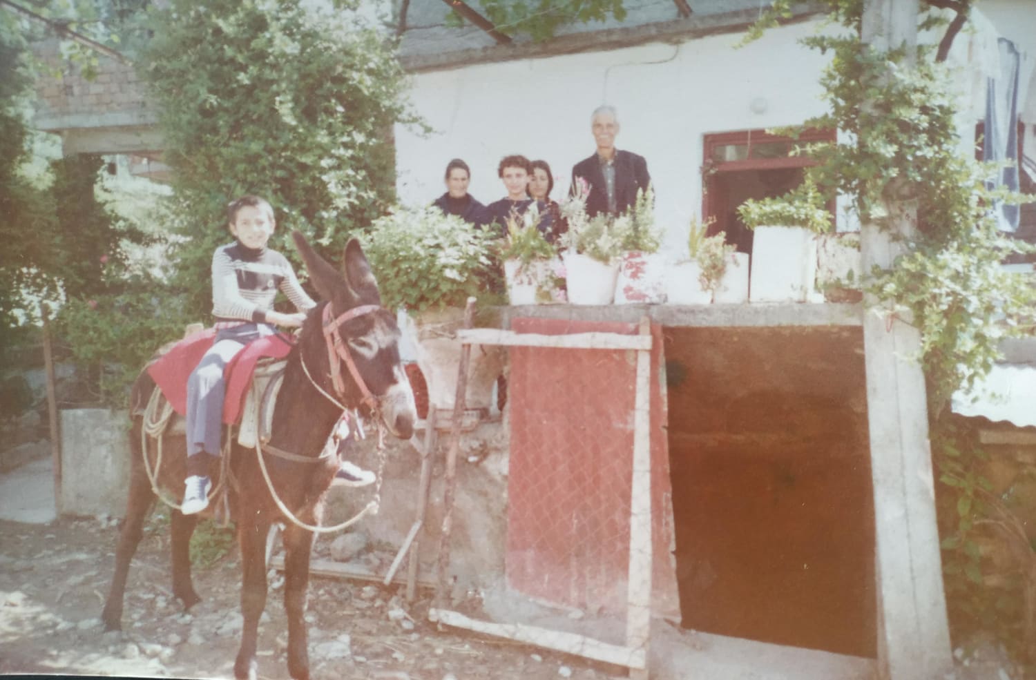 My father on his donkey outside his house around 1979 In Crete , Greece.