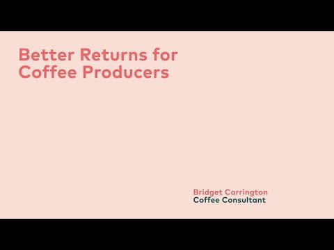 Better Returns for Coffee Producers | Bridget Carrington | Green Coffee Summit