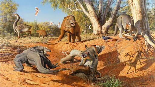 Prehistoric Australia deserves more recognition, it’s such a unique and equally terrifying ecosystem.