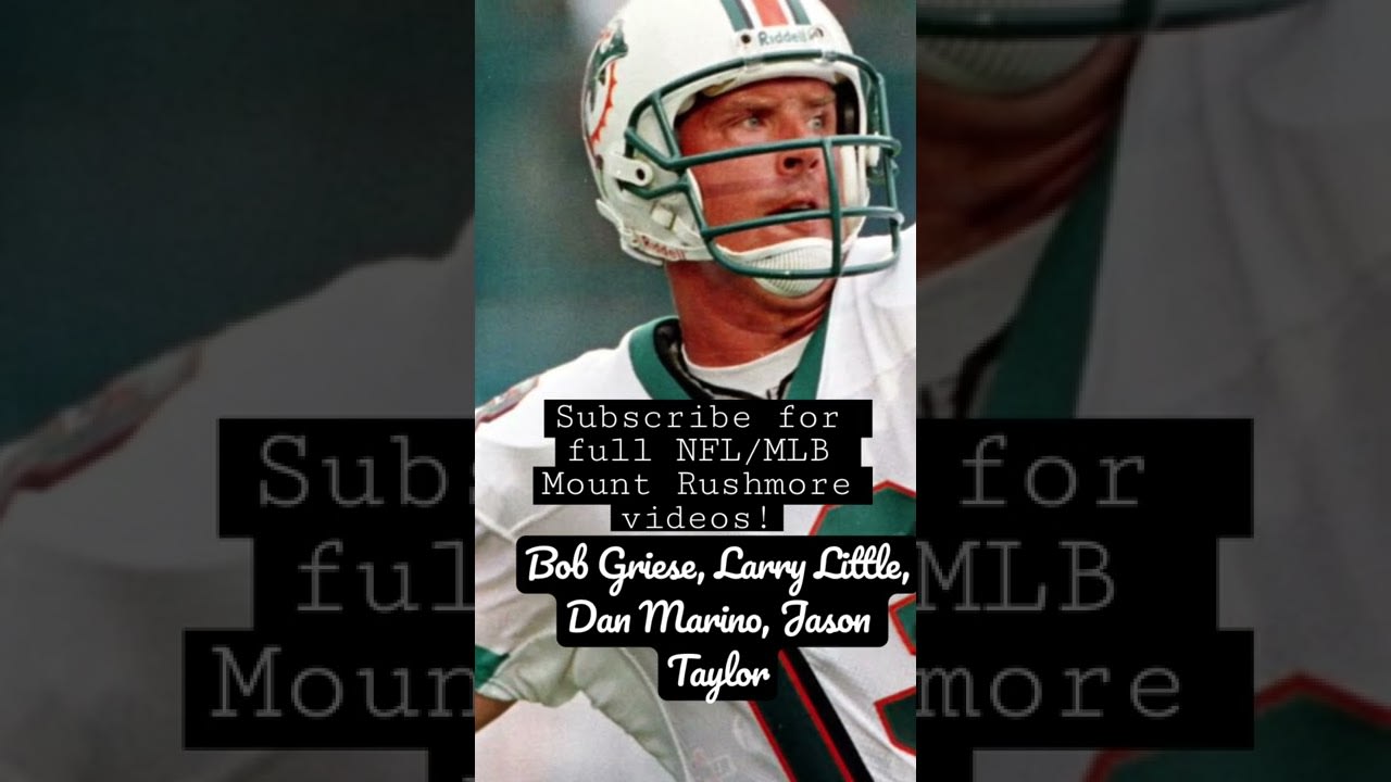 The Mount Rushmore for the Miami Dolphins #shorts #dolphins