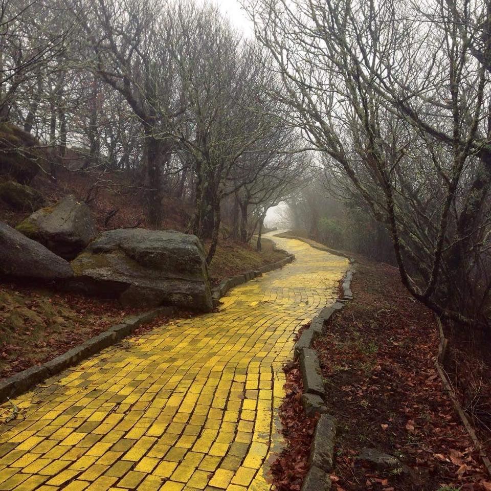 A picture of the abandoned yellow brick road from The Wizard Of Oz