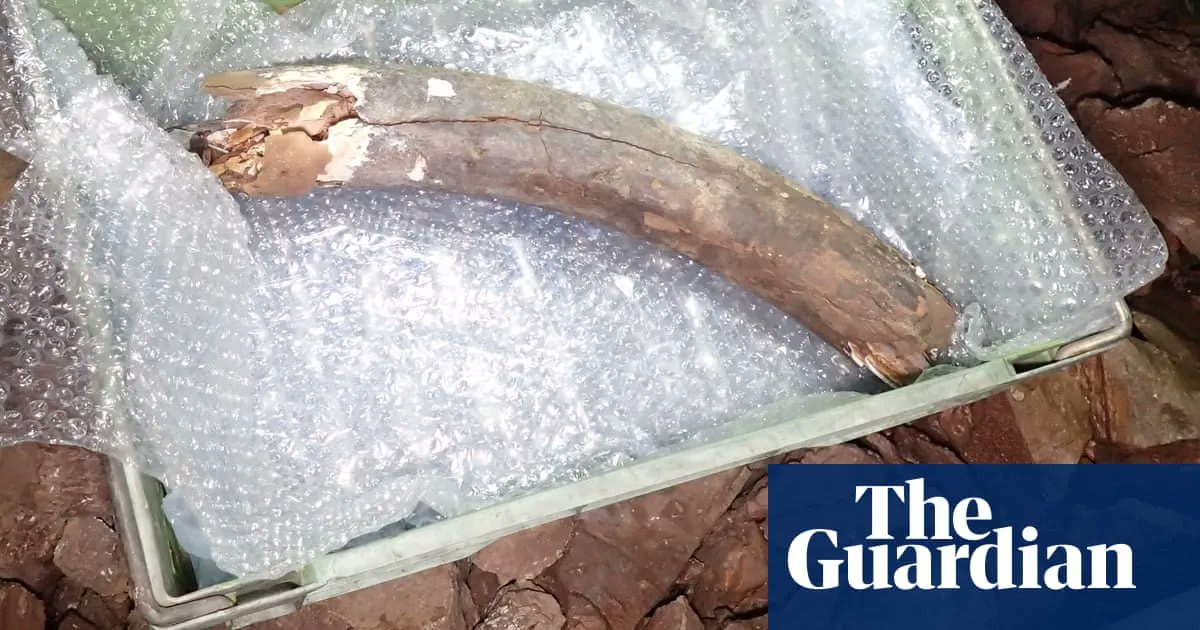 Bones of ice age mammoth, bison, rhinoceros, wolf and hyena uncovered by digger on outskirts of Plymouth (via