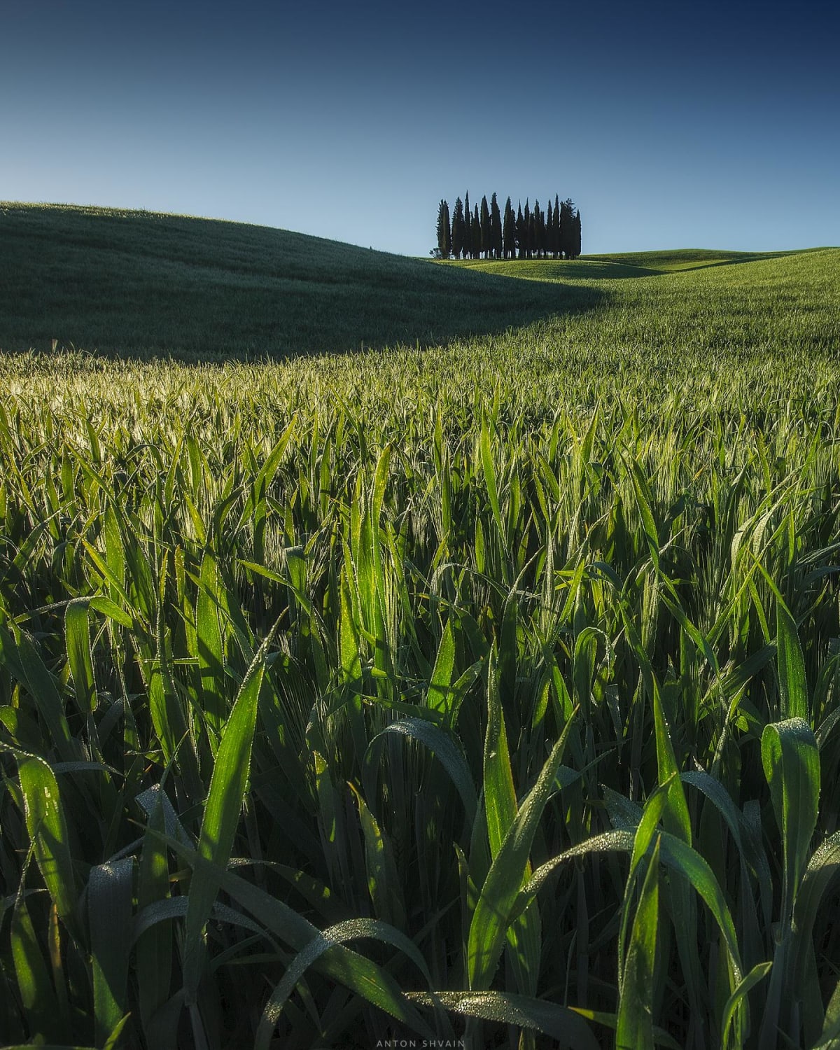 Grassland, Tuscany, Italy