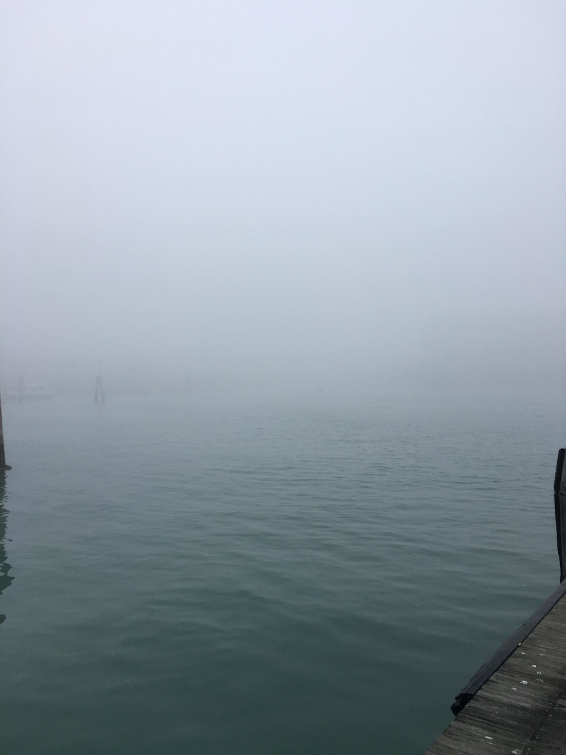 Venice Pier in January 2022. It gave me an eerie feeling