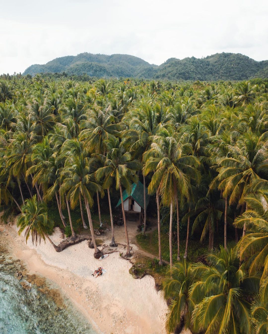 Living in a hut covered by coconut plantation; Siargao Island Philippines