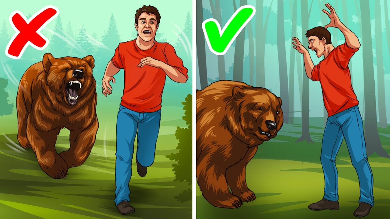 The Easiest Way to Survive a Bear Attack