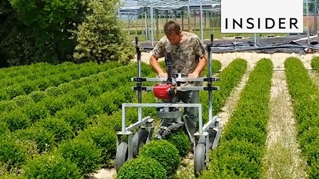 7 Agricultural Inventions You Need In Your Life