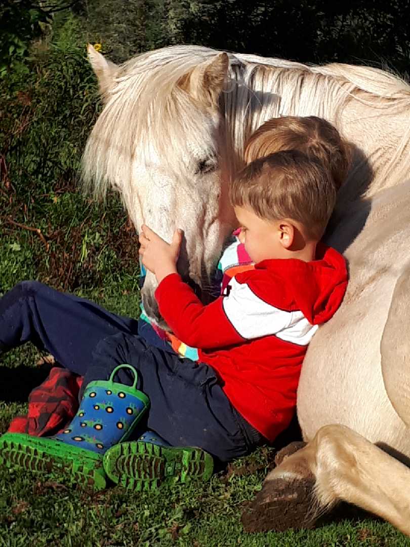 The kids getting their morning snuggles with their pony!